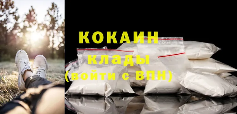 hydra tor  Дятьково  Cocaine Fish Scale  где купить наркотик 